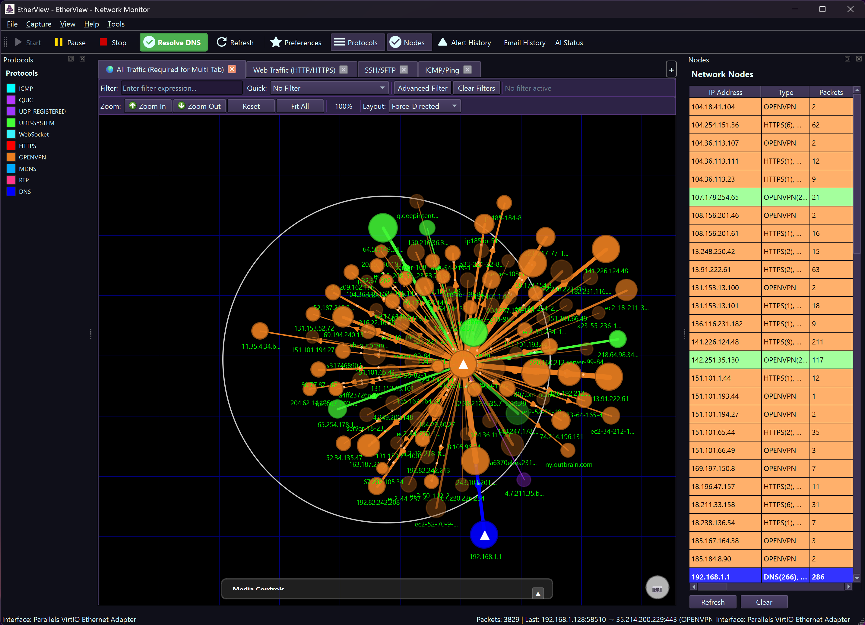 Network Capture View